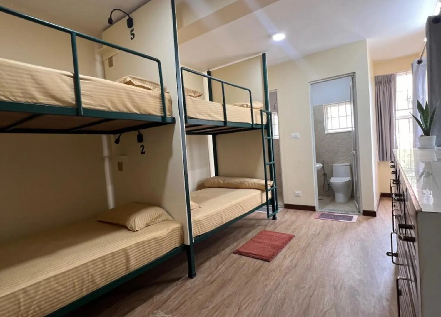 The Sparkling Turtle Backpackers Hostel كاتماندو 0*,