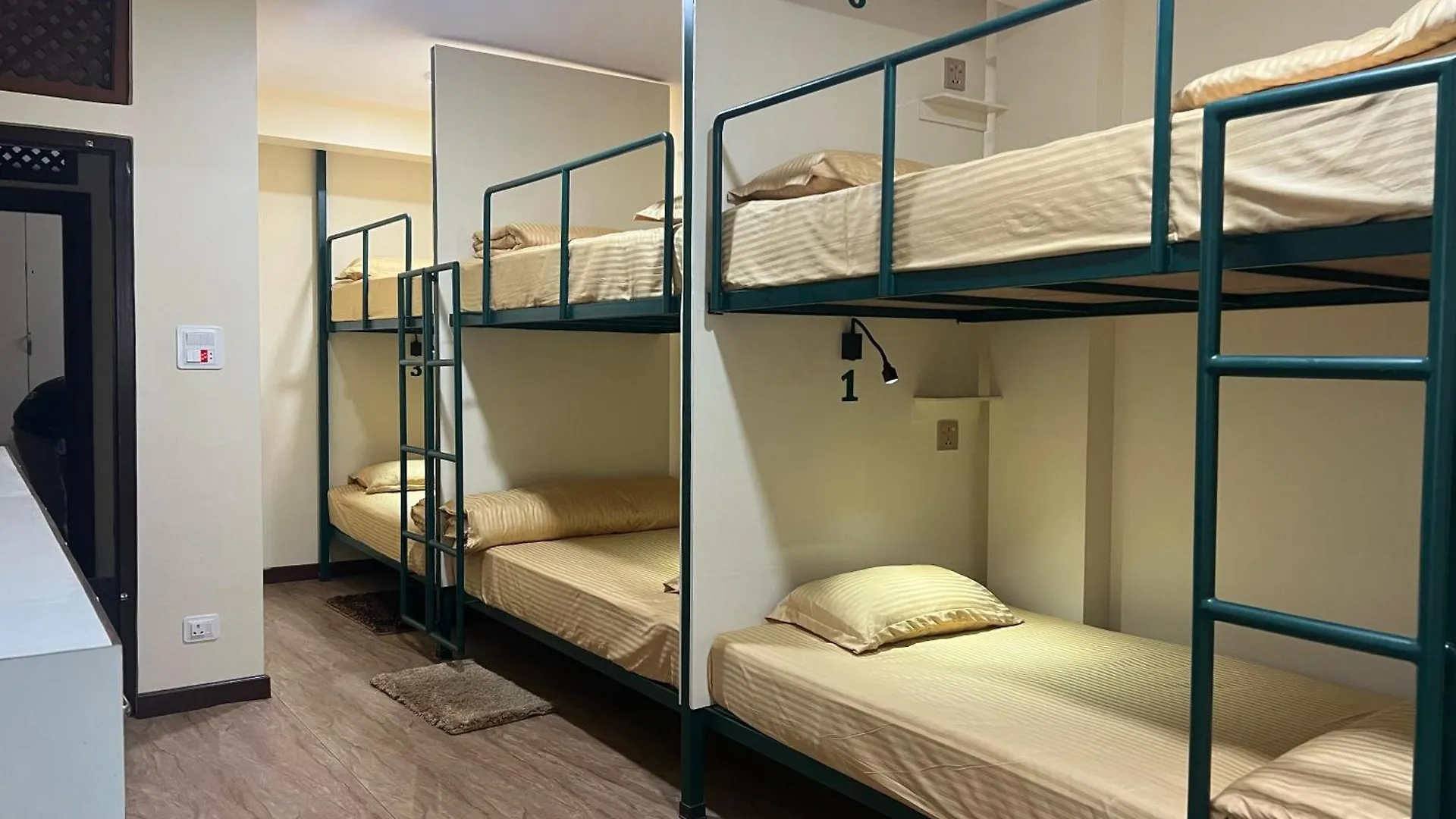 The Sparkling Turtle Backpackers Hostel Katmandou