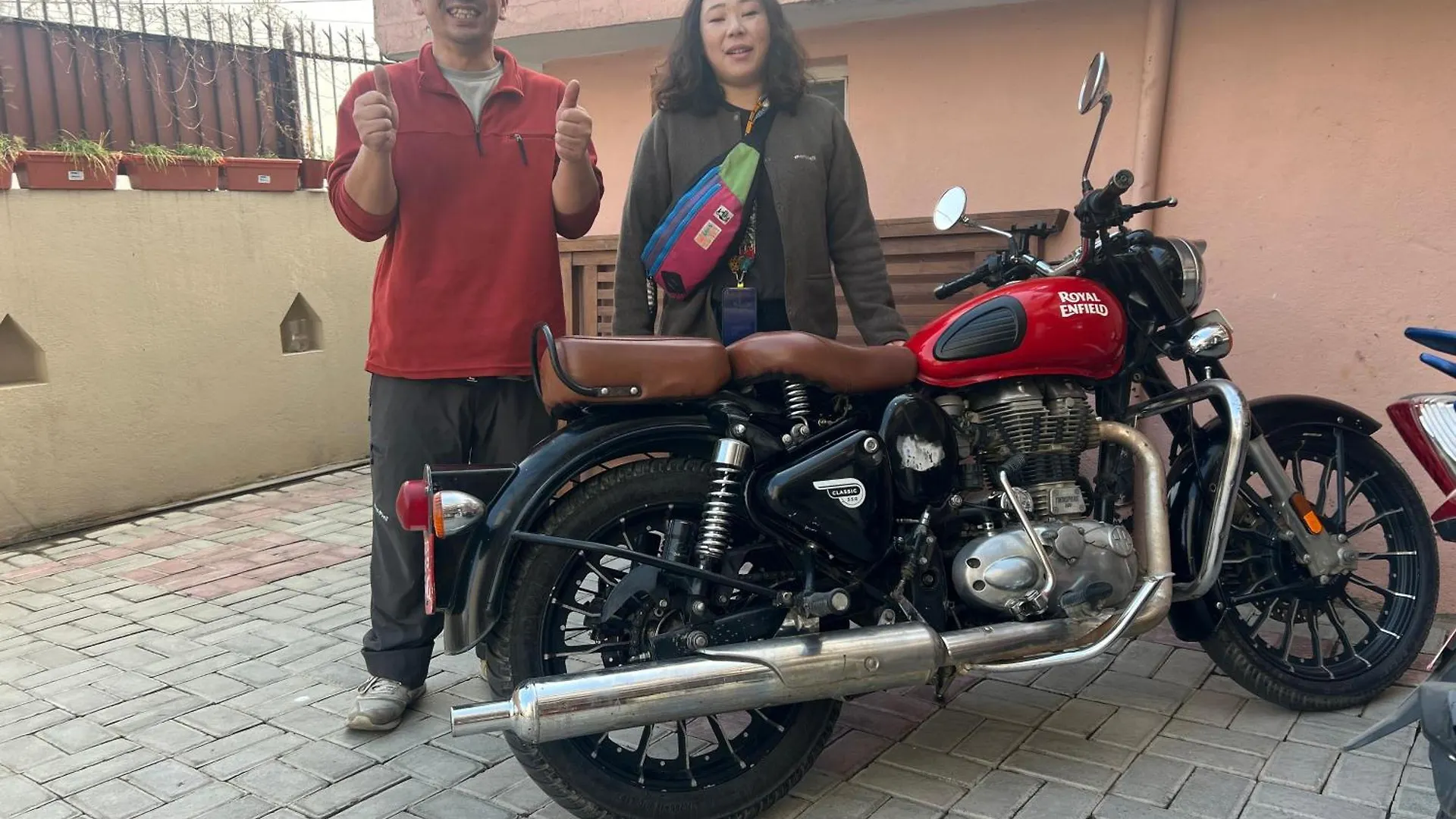 The Sparkling Turtle Backpackers Hostel Katmandou